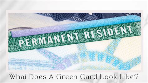 give up green card|what does a green card look like.